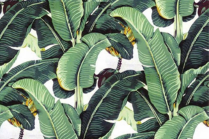 Tropical wallpaper for one's home 